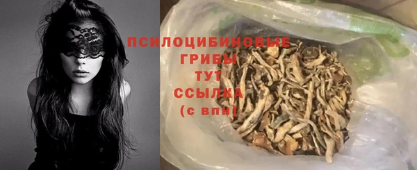 дмт Аркадак