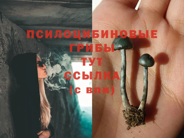 альфа пвп Армянск