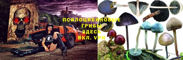 дмт Аркадак